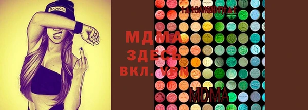 индика Аркадак