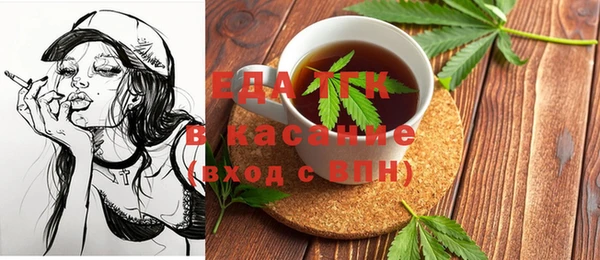 индика Аркадак