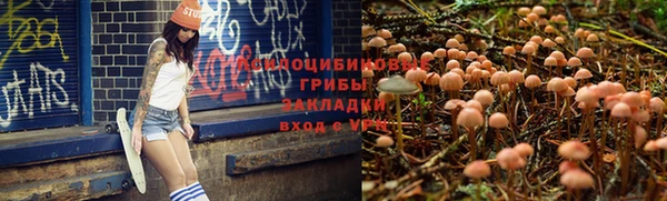 a pvp Армянск