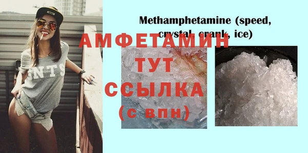 индика Аркадак