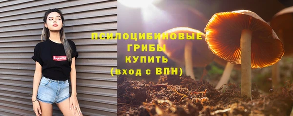a pvp Армянск