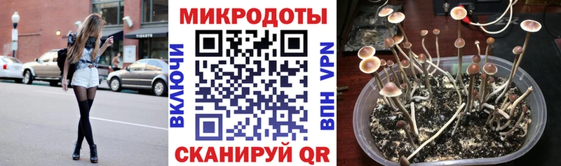 сколько стоит  Асбест  ОМГ ОМГ ТОР  Псилоцибиновые грибы прущие грибы 